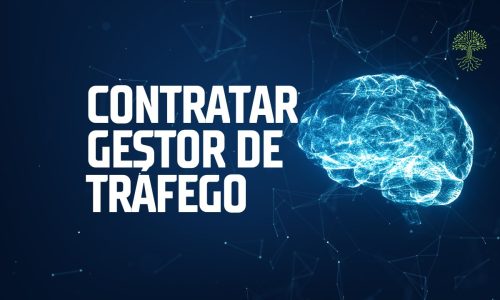 Contratar Gestor de Tráfego Pago