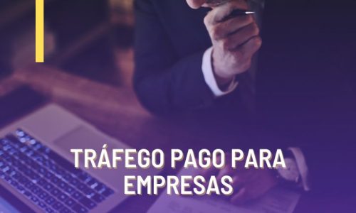 tráfego pago para empresas
